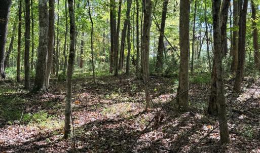 Photo #1 of Lot 25 Cutlass Road, Moneta, VA 0.5 acres