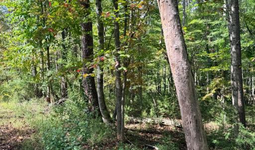 Photo #11 of Lot 25 Cutlass Road, Moneta, VA 0.5 acres