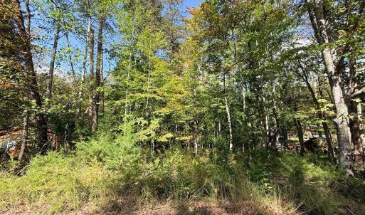 Photo #6 of Lot 25 Cutlass Road, Moneta, VA 0.5 acres