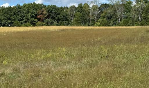 Photo #6 of Smith Mountain Lake Parkway, Huddleston, VA 4.4 acres