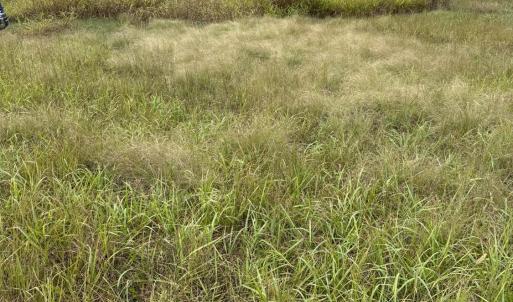 Photo #3 of Smith Mountain Lake Parkway, Huddleston, VA 4.4 acres