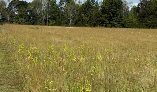 Photo #5 of Smith Mountain Lake Parkway, Huddleston, VA 4.4 acres