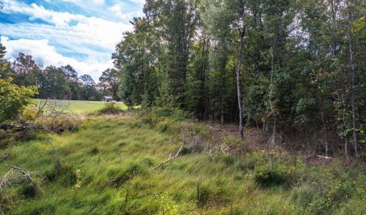 Photo #17 of Pauls Road, Rustburg, VA 11.5 acres