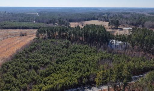 Photo #4 of Sturgeon Road, Dolphin, VA 11.2 acres