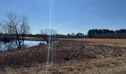 Photo #3 of Sturgeon Road, Dolphin, VA 11.2 acres