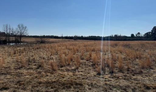 Photo #5 of Sturgeon Road, Dolphin, VA 11.2 acres
