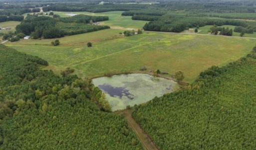 Aerial View of All Acreage