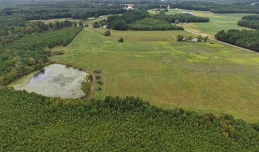 Aerial View of All Acreage