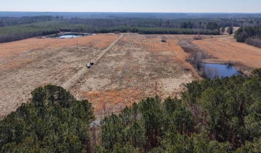 Photo #4 of Great Oak Rd Road, Dolphin, VA 10.0 acres