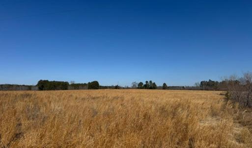 Photo #5 of Great Oak Rd Road, Dolphin, VA 10.0 acres