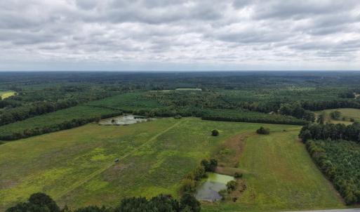 Photo #1 of Great Oak Rd Road, Dolphin, VA 10.0 acres