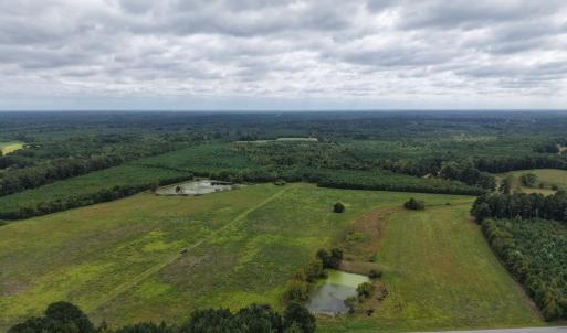Photo #1 of Great Oak Rd Road, Dolphin, VA 10.0 acres