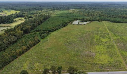 Photo #2 of Great Oak Rd Road, Dolphin, VA 18.8 acres