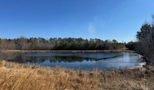 Photo #8 of Great Oak Rd Road, Dolphin, VA 18.8 acres