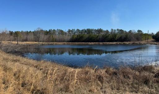 Photo #6 of Great Oak Rd Road, Dolphin, VA 18.8 acres