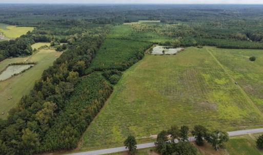 Photo #6 of Great Oak Rd Road, Dolphin, VA 10.8 acres
