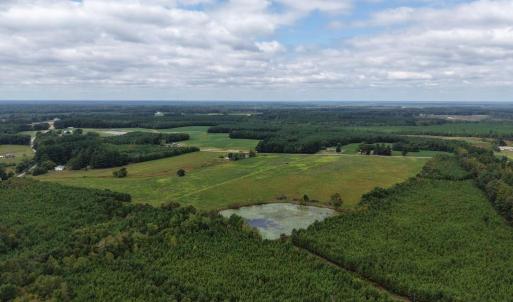 Photo #8 of Great Oak Rd Road, Dolphin, VA 10.8 acres