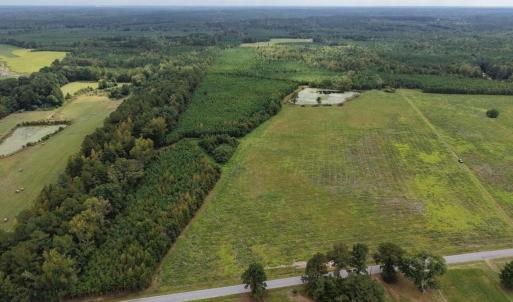 Photo #6 of Great Oak Rd Road, Dolphin, VA 10.8 acres