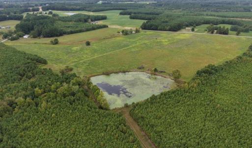 Photo #4 of Great Oak Rd Road, Dolphin, VA 10.8 acres