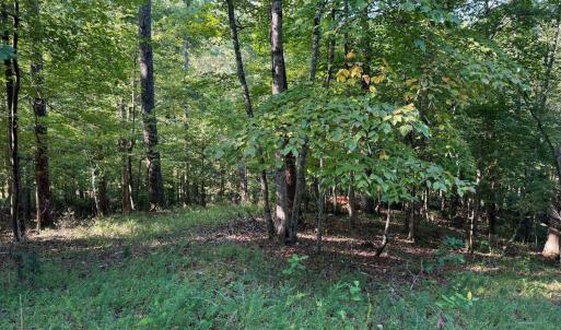 Photo #3 of 2 Cedar Bluff, Hardy, VA 0.5 acres