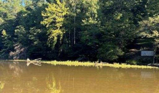 Photo #7 of 2 Cedar Bluff, Hardy, VA 0.5 acres