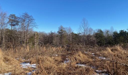 Photo #2 of Wright Shop Road, Madison Heights, VA 1.0 acres