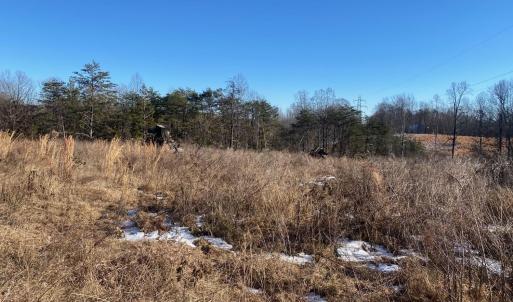 Photo #4 of Wright Shop Road, Madison Heights, VA 1.0 acres