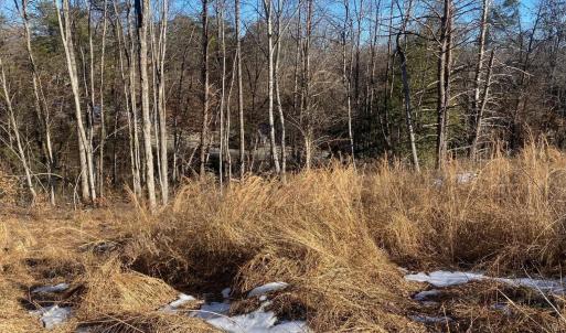Photo #1 of Wright Shop Road, Madison Heights, VA 1.0 acres