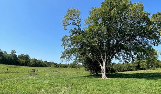 Photo #10 of Tin Top Place, Concord, VA 20.1 acres