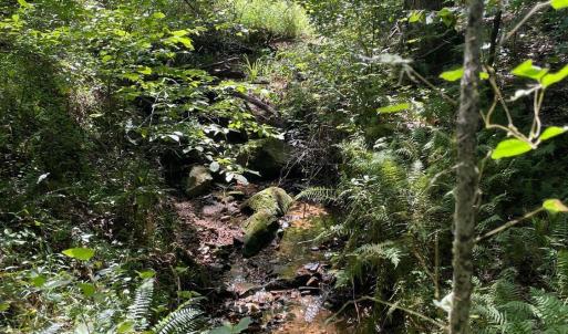Photo #32 of Tin Top Place, Concord, VA 20.1 acres