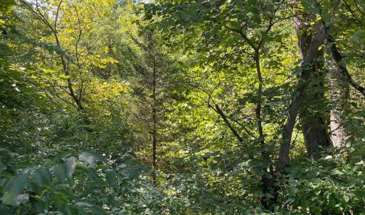 Photo #30 of Tin Top Place, Concord, VA 20.1 acres