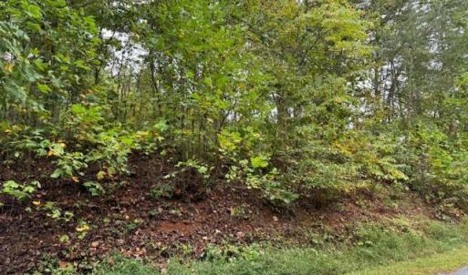 Photo #4 of Deer View Road, Gretna, VA 37.1 acres