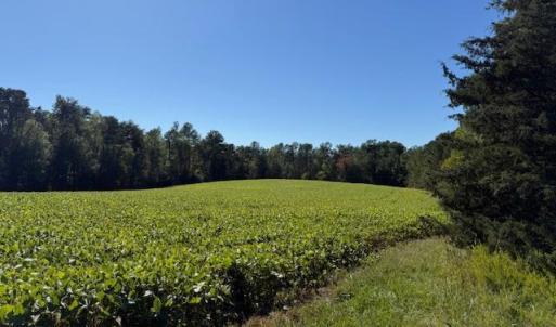 Photo #5 of Deer View Road, Gretna, VA 37.1 acres