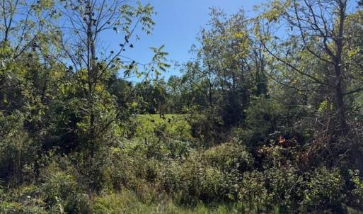 Photo #6 of Deer View Road, Gretna, VA 37.1 acres
