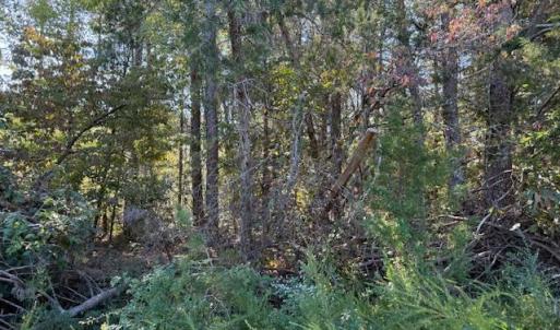 Photo #7 of Deer View Road, Gretna, VA 37.1 acres