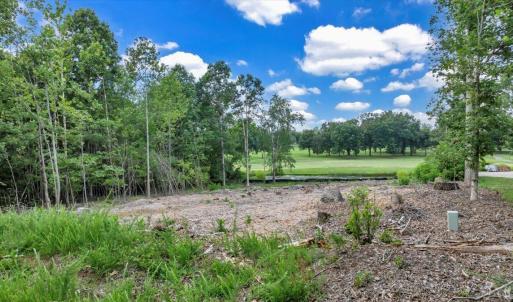 Photo #3 of 47 Spyglass Lane, Huddleston, VA 0.5 acres