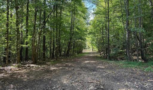 Photo #17 of Mountain Coleman Road, Appomattox, VA 112.8 acres