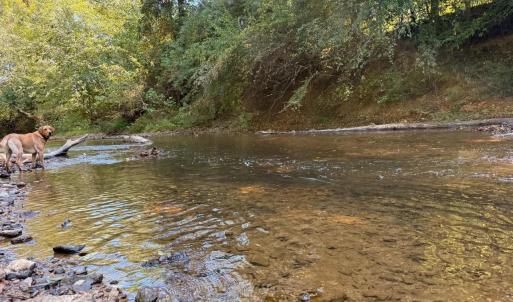 Photo #1 of Mountain Coleman Road, Appomattox, VA 112.8 acres