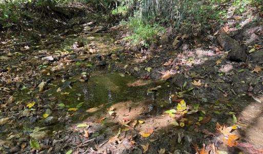 Photo #12 of Mountain Coleman Road, Appomattox, VA 112.8 acres