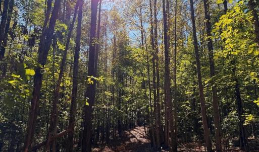 Photo #5 of Mountain Coleman Road, Appomattox, VA 112.8 acres