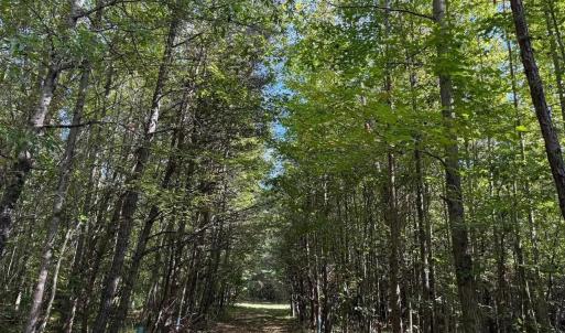 Photo #15 of Mountain Coleman Road, Appomattox, VA 112.8 acres