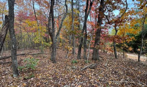 Photo #6 of Chase Trail Lane, Gladstone, VA 23.8 acres