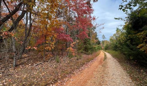 Photo #5 of Chase Trail Lane, Gladstone, VA 23.8 acres