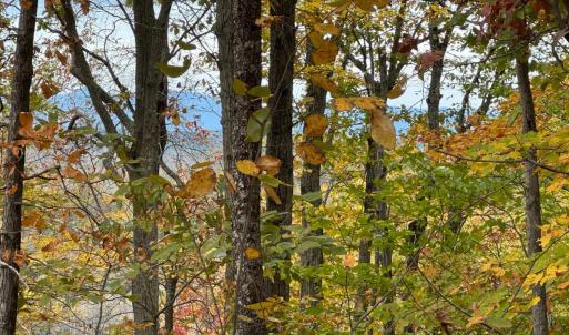 Photo #2 of Chase Trail Lane, Gladstone, VA 23.8 acres