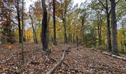 Photo #10 of Chase Trail Lane, Gladstone, VA 23.8 acres
