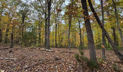 Photo #9 of Chase Trail Lane, Gladstone, VA 23.8 acres