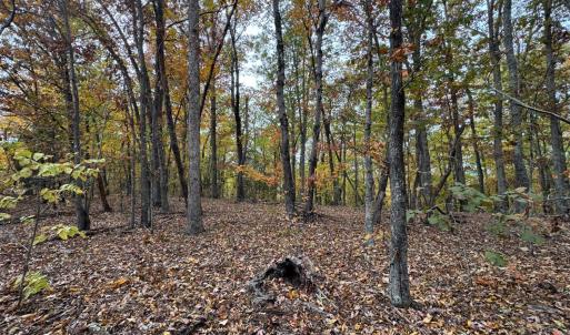 Photo #7 of Chase Trail Lane, Gladstone, VA 23.8 acres