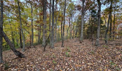 Photo #8 of Chase Trail Lane, Gladstone, VA 23.8 acres