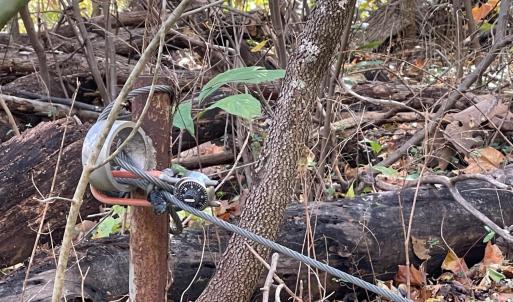 Photo #8 of Hunting Creek Road, Big Island, VA 6.1 acres