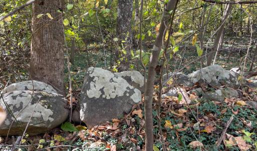 Photo #6 of Hunting Creek Road, Big Island, VA 6.1 acres